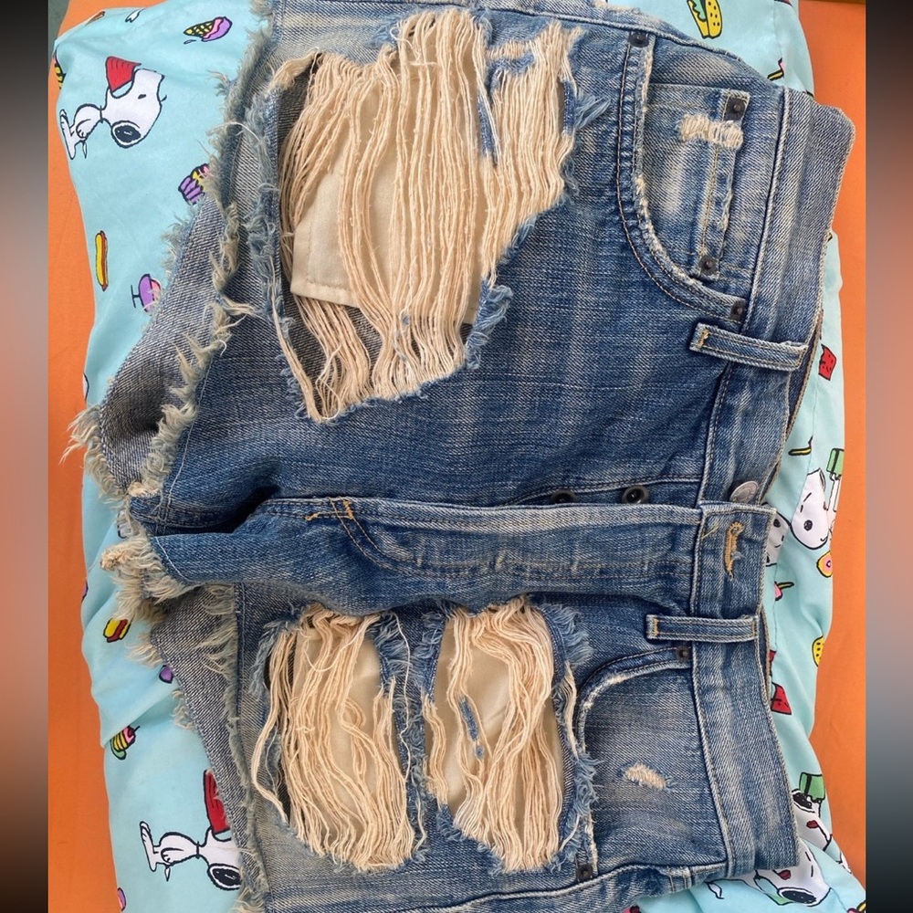 AGolde Denim Shorts
